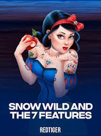 Panduan Bermain Snow Wild And The 7 Features di Android Terlengkap — ikon game